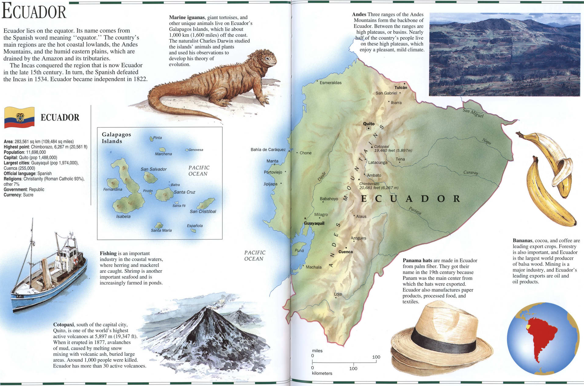 Detailed map of Ecuador with a brief geographical description. Ecuador on the world map. Detailed map of Ecuador with a brief geographical description. Ecuador on the world map.