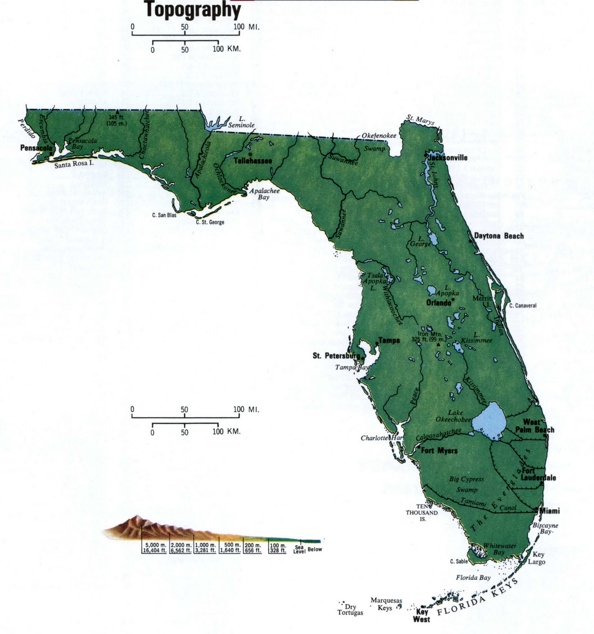 Florida topographic map. Topo map of Florida with terrain features. Florida topographic map. Topo map of Florida with terrain features.